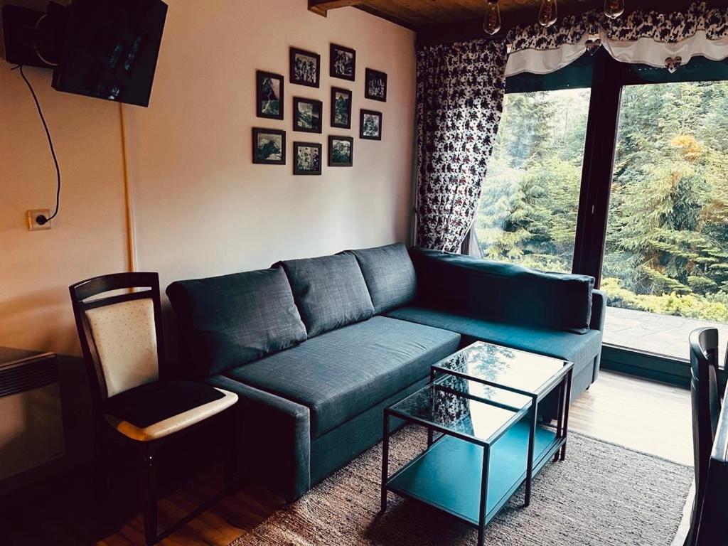 Butorowy Cichy Potok Apartment Koscielisko Ngoại thất bức ảnh